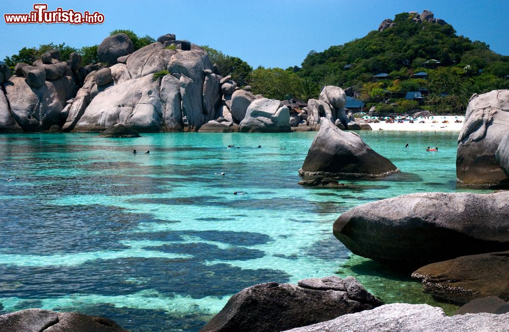 Immagine Koh Nang Yuan, turisti a bagno tra le rocce granitiche dell'isola della Thailandia