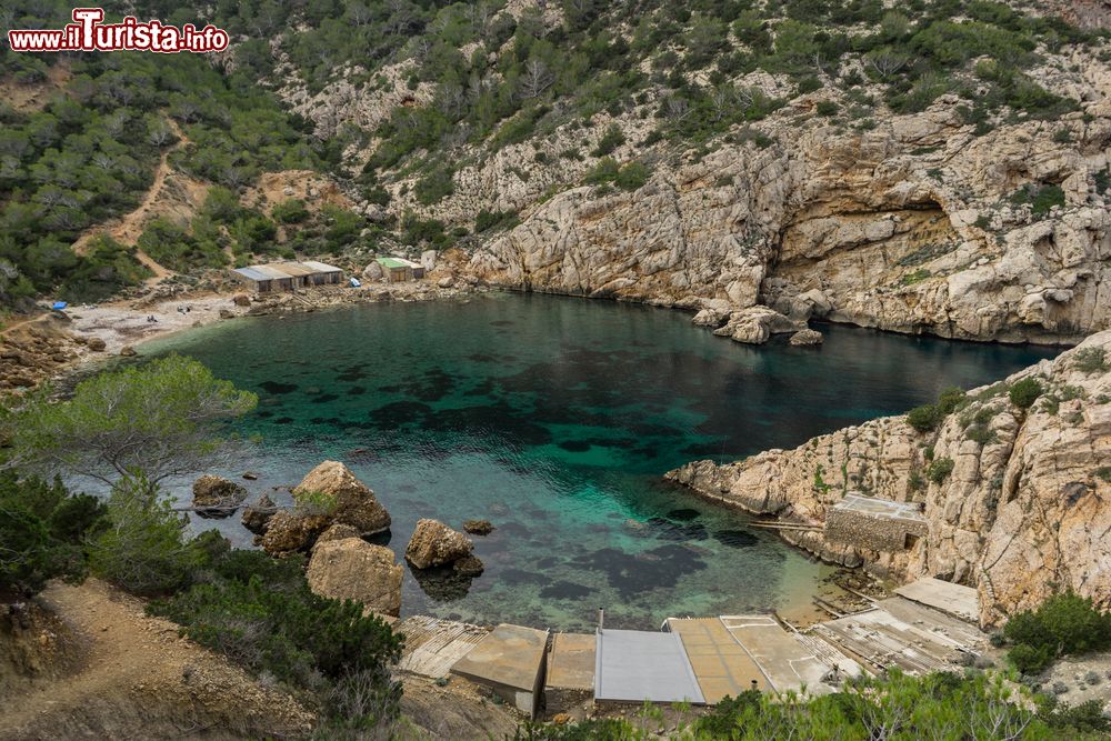 Immagine L'isolata cala di Es Portitxol a Ibiza, Isole Baleari.