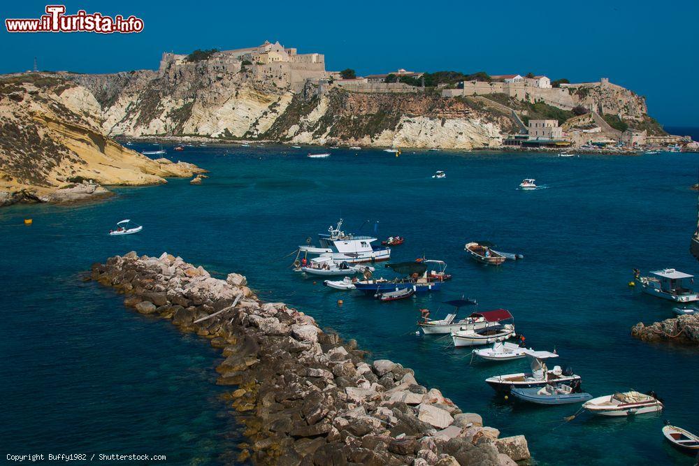 Immagine La baia dell'Isola di San Domino alle Tremiti - © Buffy1982 / Shutterstock.com