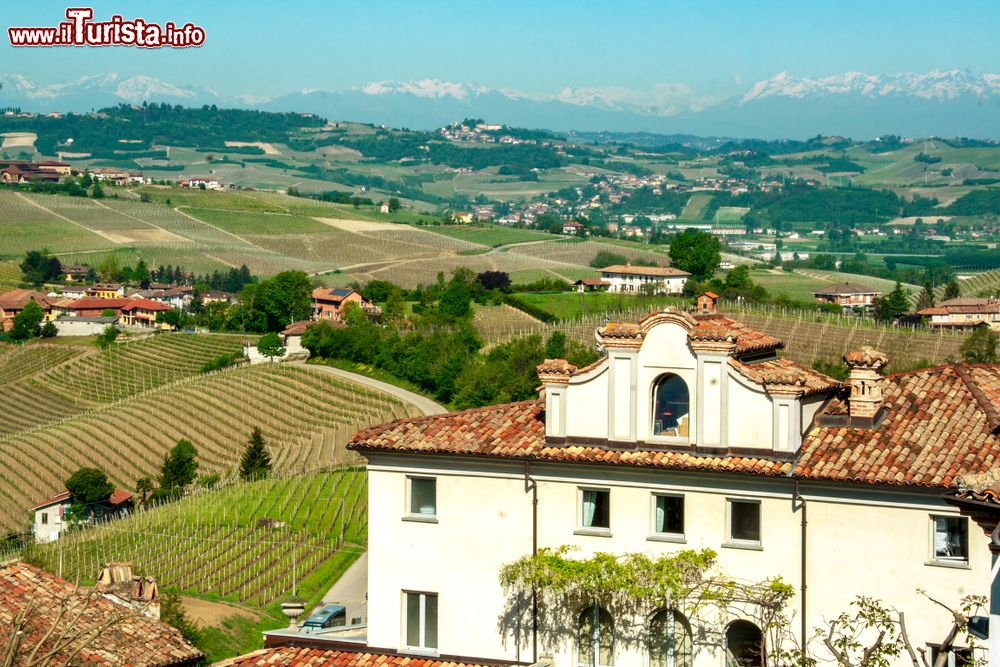 Immagine La campagna attorno al borgo di Neive, Piemonte. Siamo nelle Langhe, territorio storico di questa regione a cavallo delle province di Cuneo e Asti.