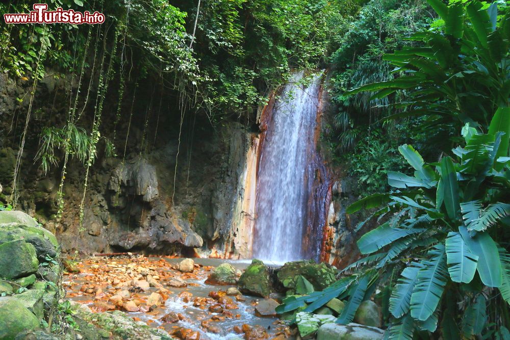 Immagine La cascata dei diamanti ai giardini botanici di Saint Lucia, Caraibi. Siamo a Soufriere, vivace cittadina inserita nella baia dominata dai Pitons. I giardini ospitano anche un'impressionante cascata e bagni alimentati da sorgenti sulfuree.