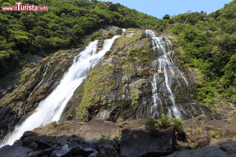 Immagine La cascata Ohko sull'isola di Yakushima, Giappone. Con il suo impressionnate salto di 88 metri, è una delle cento cascate più importanti del paese.