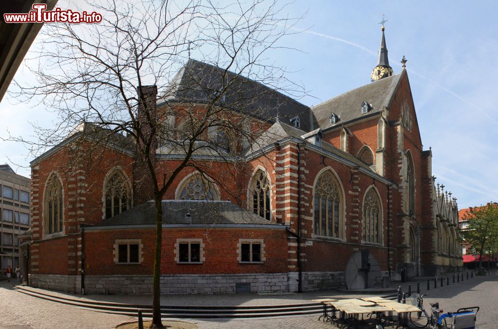 Immagine La cattedrale di San Quintino a Hasselt, Belgio. Iniziato nell'XI° secolo, questo edificio religioso in stile gotico è stato ultimato due secoli più tardi.