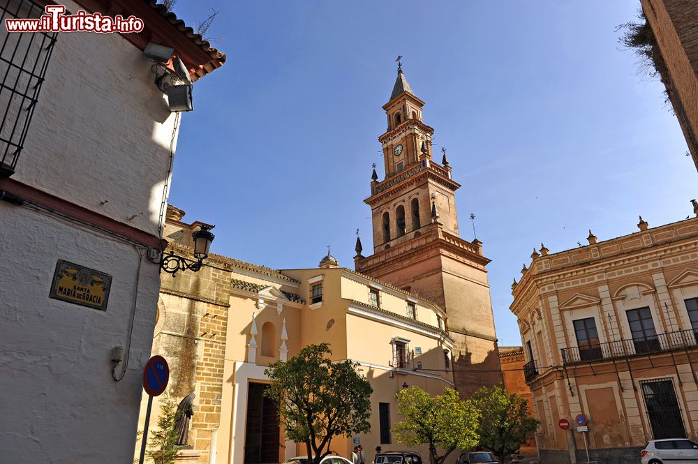 Immagine La chiesa di Santa Maria a Carmona, Andalusia, Spagna: questo grande edificio in stile gotico risale al XVI° secolo; nel patio, inciso su una colonna, presenta un calendario liturigico visigoto.