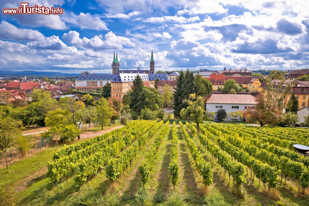 Immagine La città di Bamberga vista dai vigneti Michaelsberg, Germania.