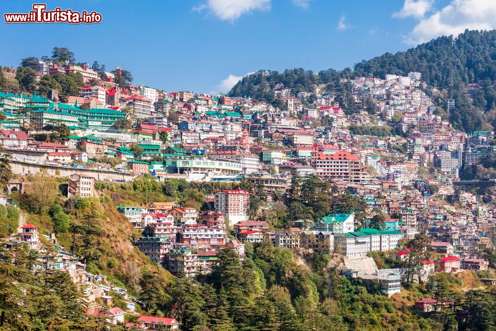 Immagine La cittadina di Shimla vista dall'alto, Himachal Pradesh, India. Questa località prende il nome dalla dea Shyamala Devi, incarnazione della dea hindu Kali.