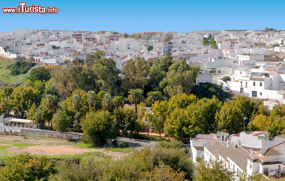 Immagine La cittadina spagnola di Carmona, Andalusia, vista dall'alto.