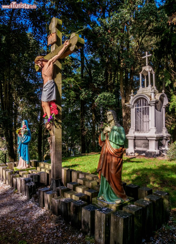 Immagine La collina del Calvario a Puerto Varas, Cile. Dalla cima di questo monte si può ammirare una suggestiva veduta della città.