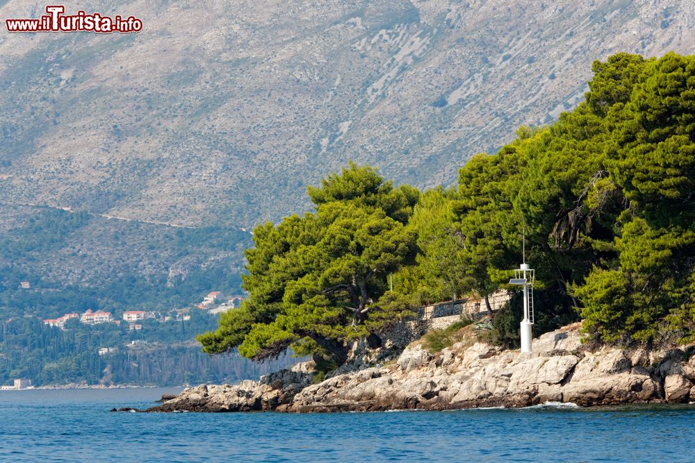 Immagine La costa nei pressi di Cavtat, cittadina di 2000 abitanti della Dalmazia meridionale (Croazia).