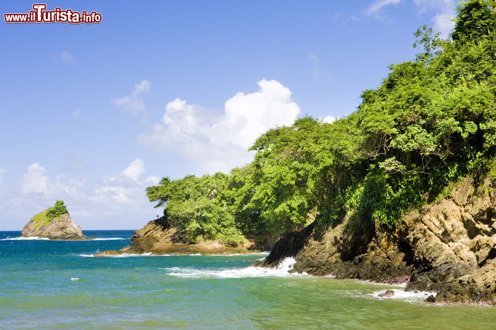 Immagine La costa occidentale di Tobago, America Centrale. E' rinomata per le sue larghe spiagge di sabbia e per la foresta tropicale ricca di fauna e flora.