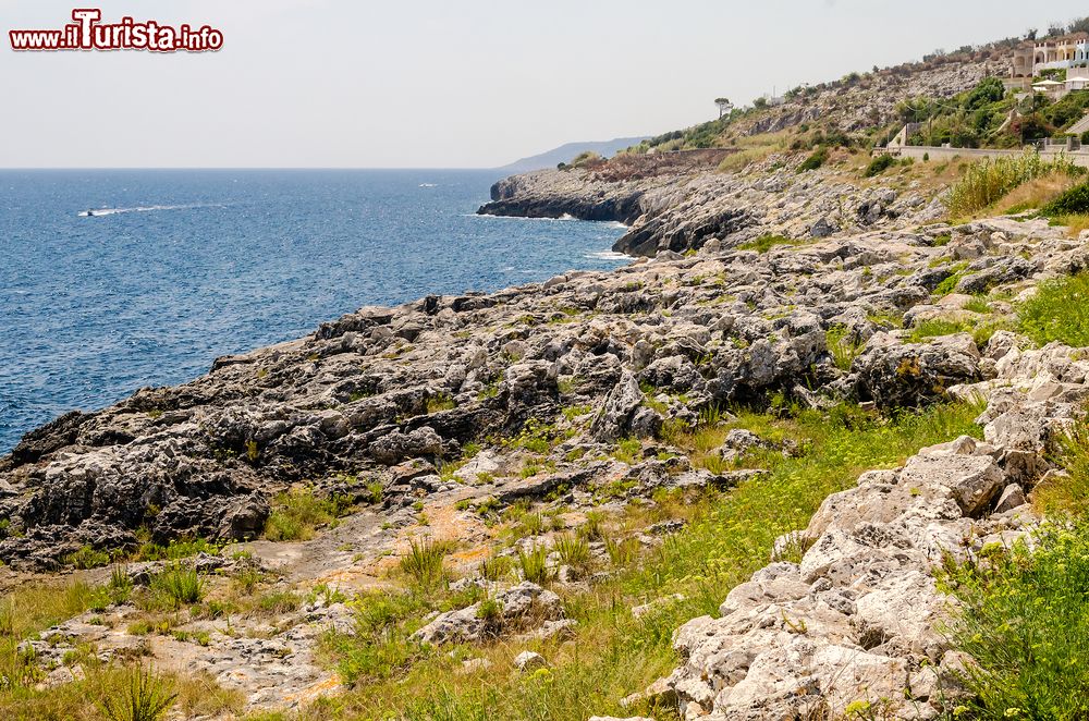 Immagine La costa rocciosa della Marina di Andrano in  Salento, Puglia