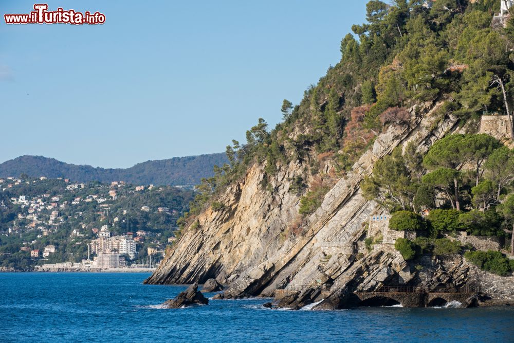Immagine La costa rocciosa di Zoagli, Genova, Liguria. Il paese è noto anche per la scogliera pedonale a ridosso del mare realizzata nel corso degli anni '30 del XX° secolo con il contributo economico degli abitanti.