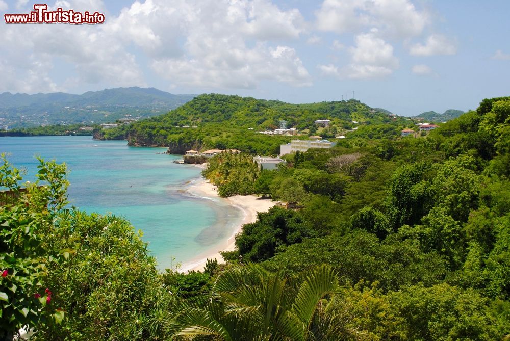 Immagine La costa sud di Grenada, America Centrale. Ricoperta da una vegetazione lussureggiante, quest'isola, come le altre che compongono l'omonimo stato insulare, vanta un suolo estremamente ricco.