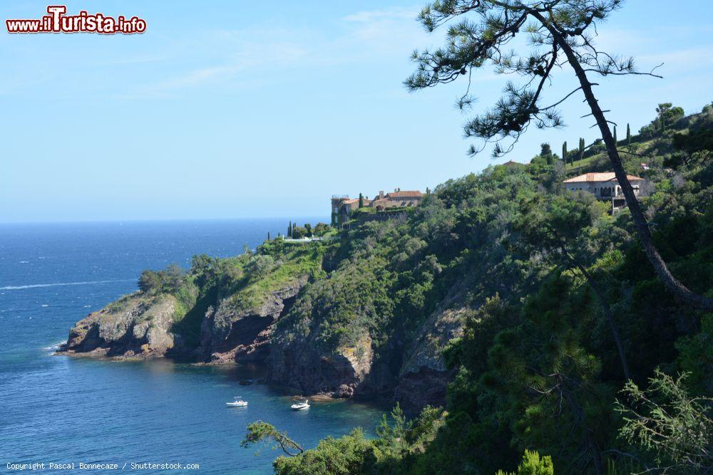 Immagine La costa verdeggiante nei pressi di Théoule-sur-Mer, Costa Azzurra, Francia. Affacciato sul Golfo della Napoule, questo borgo è situato a est del massiccio dell'Esterel - © Pascal Bonnecaze / Shutterstock.com