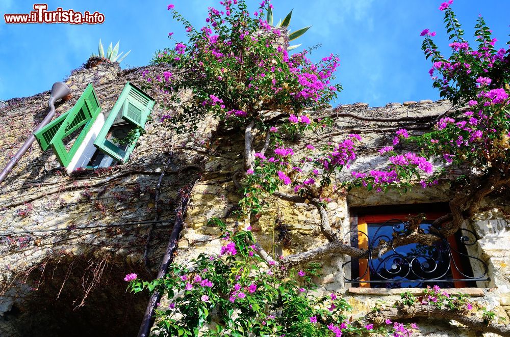 Immagine La facciata di un edificio di Bussana Vecchia, Sanremo, Italia.