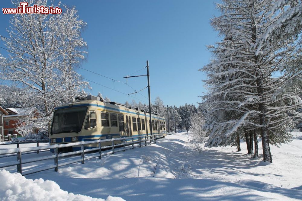 Immagine La Ferrovia Vigezzina nei pressi di Re in Piemonte.