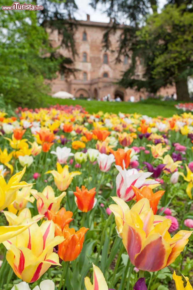 Immagine La festa dei tulipani al castello di Pralormo, in Piemonte.