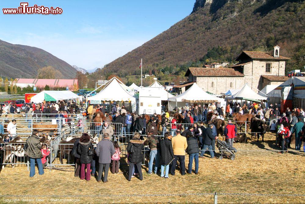 Immagine La Fiera di San Martino a Mendrisio inel Canton Ticino - © Stefano Ember / Shutterstock.com