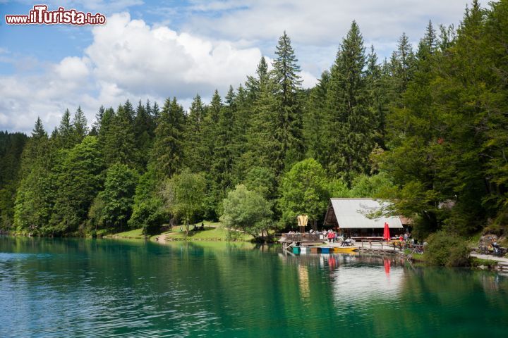 Immagine La foresta dei laghi di Fusine, nella regione di Tarvisio in Friuli