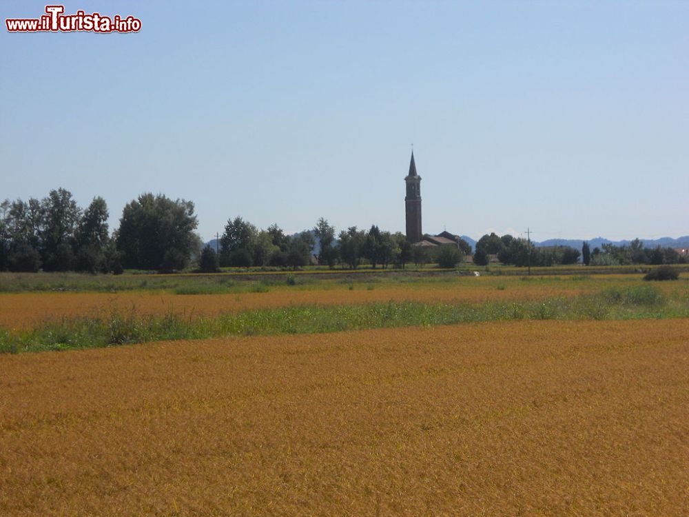 Immagine la frazione San Grisante di Crescentino, tra le risaie del vercellese - © Pmk58 - CC BY-SA 4.0, Wikipedia