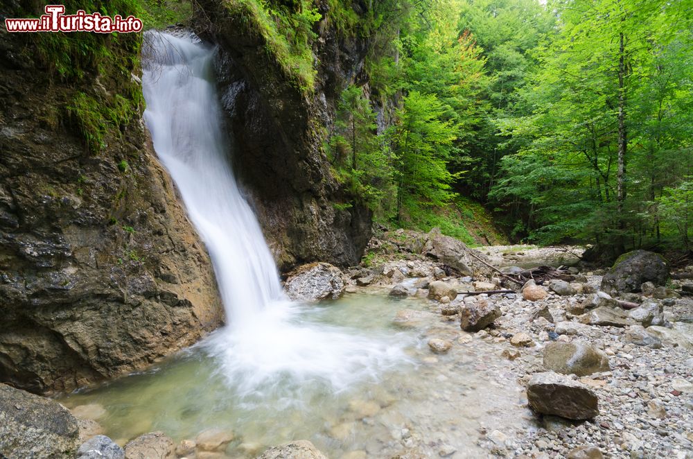 Immagine La gola di Schleifmuehlenklamm in Baviera