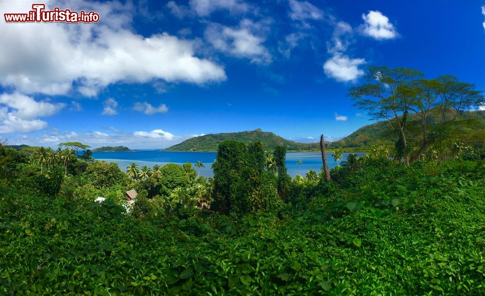 Immagine La laguna di Huahine, Polinesia Francese, vista dall'alto della vegetazione.