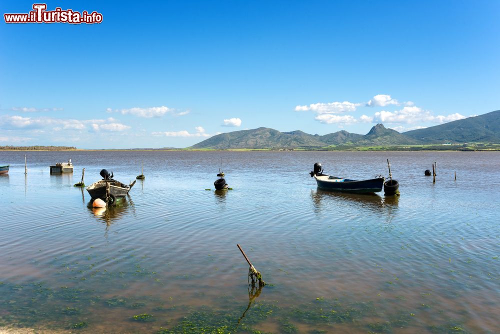 Immagine La laguna di Marceddi si trova nei pressi di Terralba, Sardegna occidentale