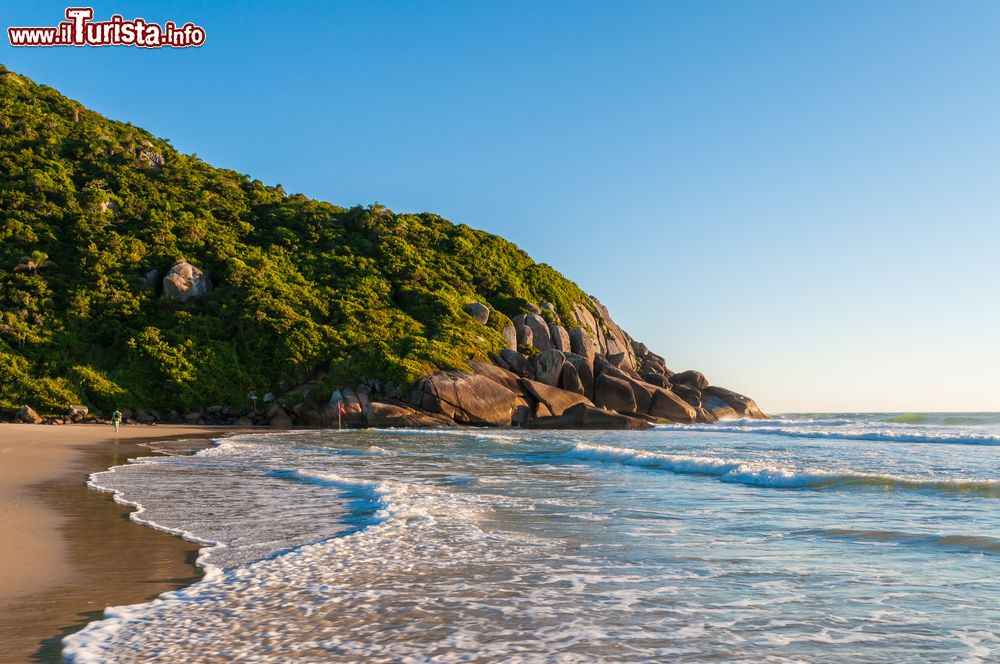 Immagine La lussureggiante Brava Beach nella città di Florianopolis, Brasile. Acqua limpida e spiaggia poco affollata rendono questo tratto di litorale uno dei più apprezzati della zona.