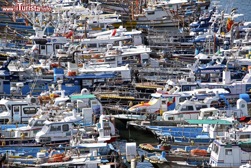 Immagine La marina di Boryeong nella Corea del Sud - © little birdcage / Shutterstock.com