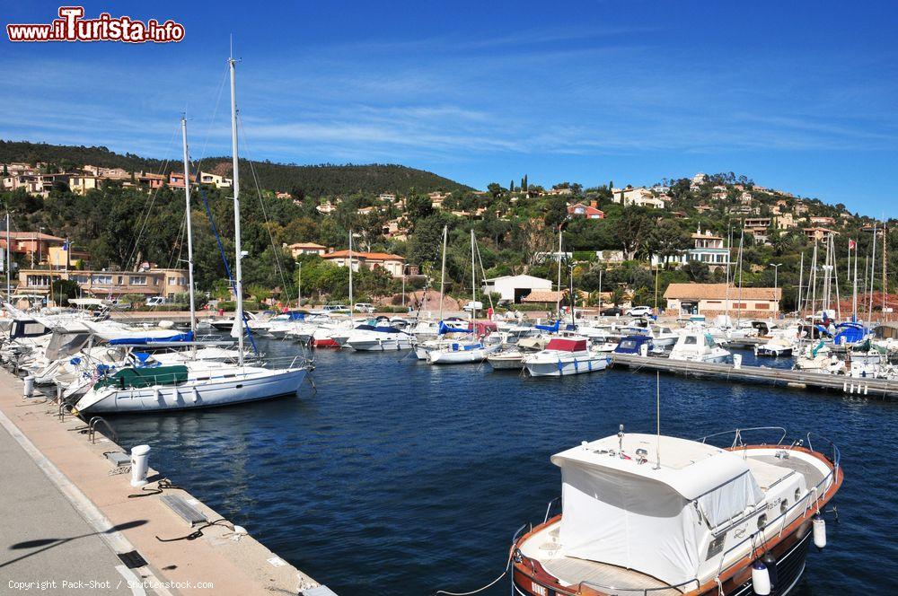 Immagine La marina di Théoule-sur-Mer con le barche ormeggiate (Francia) - © Pack-Shot / Shutterstock.com