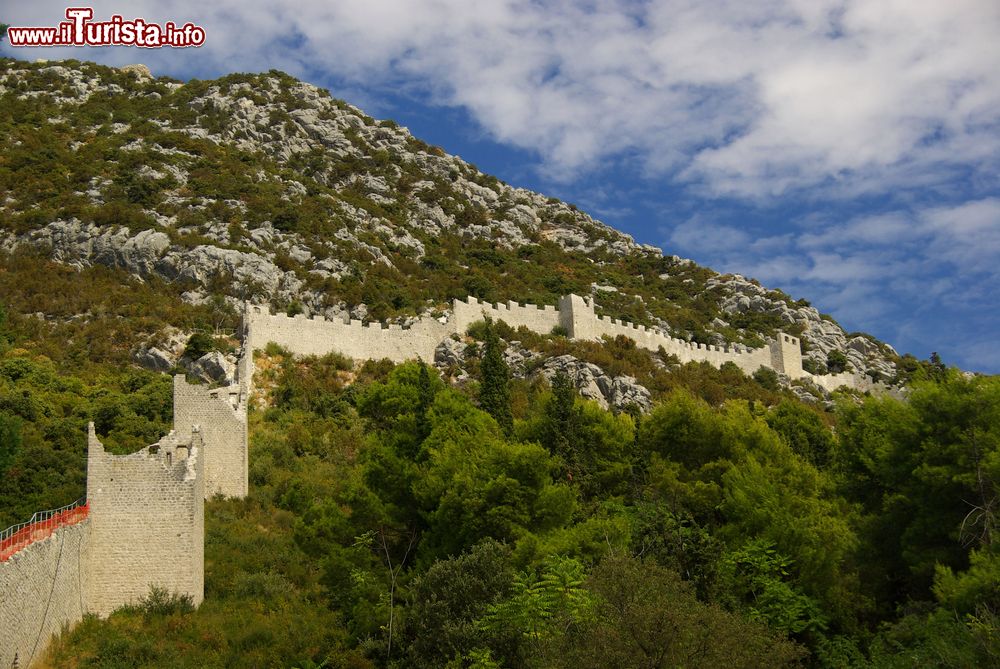 Immagine La muraglia difensiva di Ston, città della Croazia. Queste mura si fondono perfettamente con l'ambiente naturale circostante.