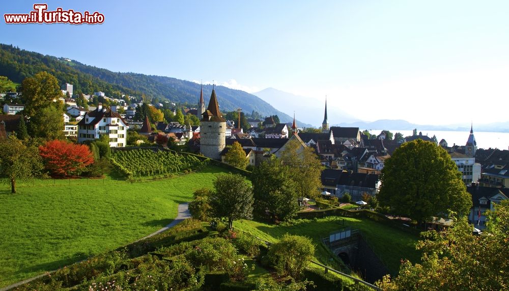 Immagine La natura rigogliosa che circonda la cittadina svizzera di Zugo.