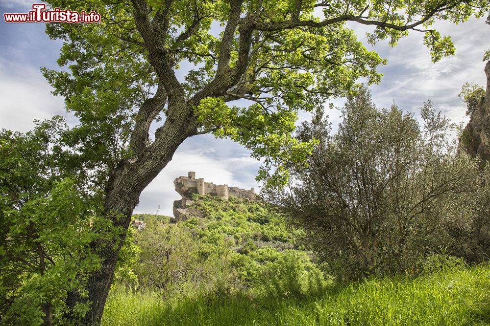 Immagine La natura rigogliosa sulle colline intorno a Roccascalegna in Abruzzo