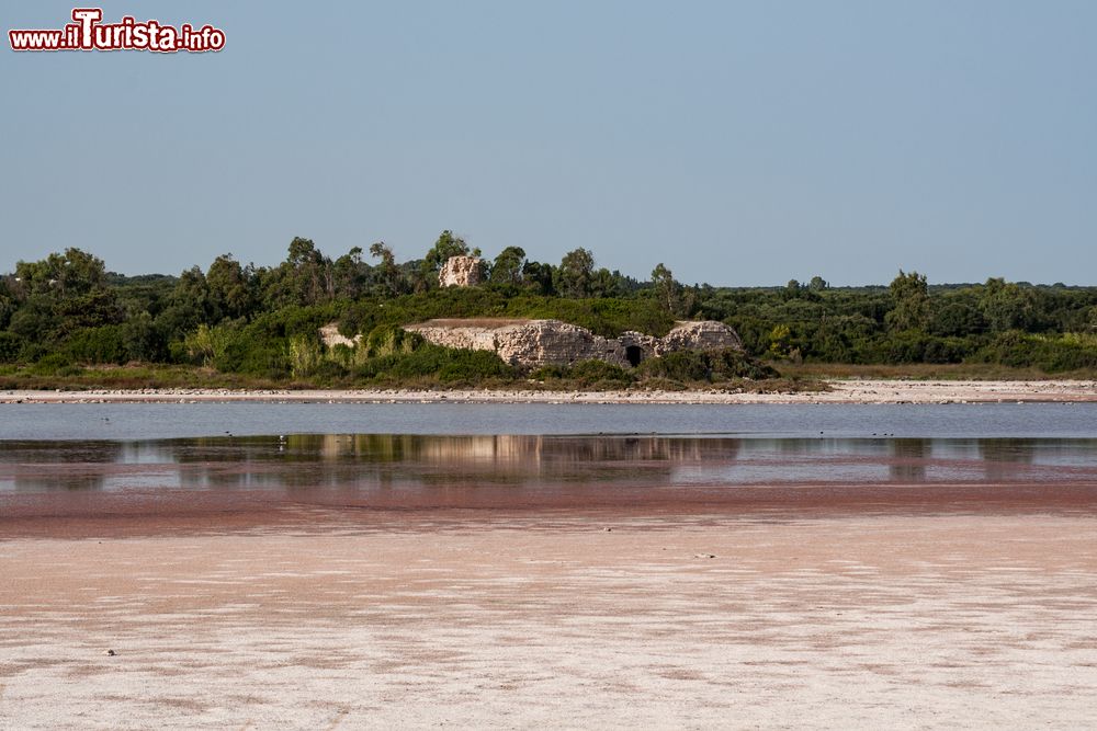 Immagine La Palude del Conte a Torre Colimena in Puglia