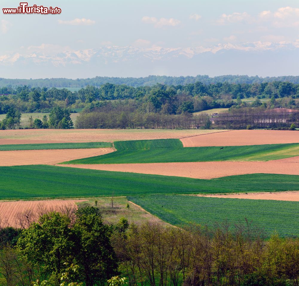 Immagine La pianura del Piemonte tra Santena and Poirino in provincia di Torino