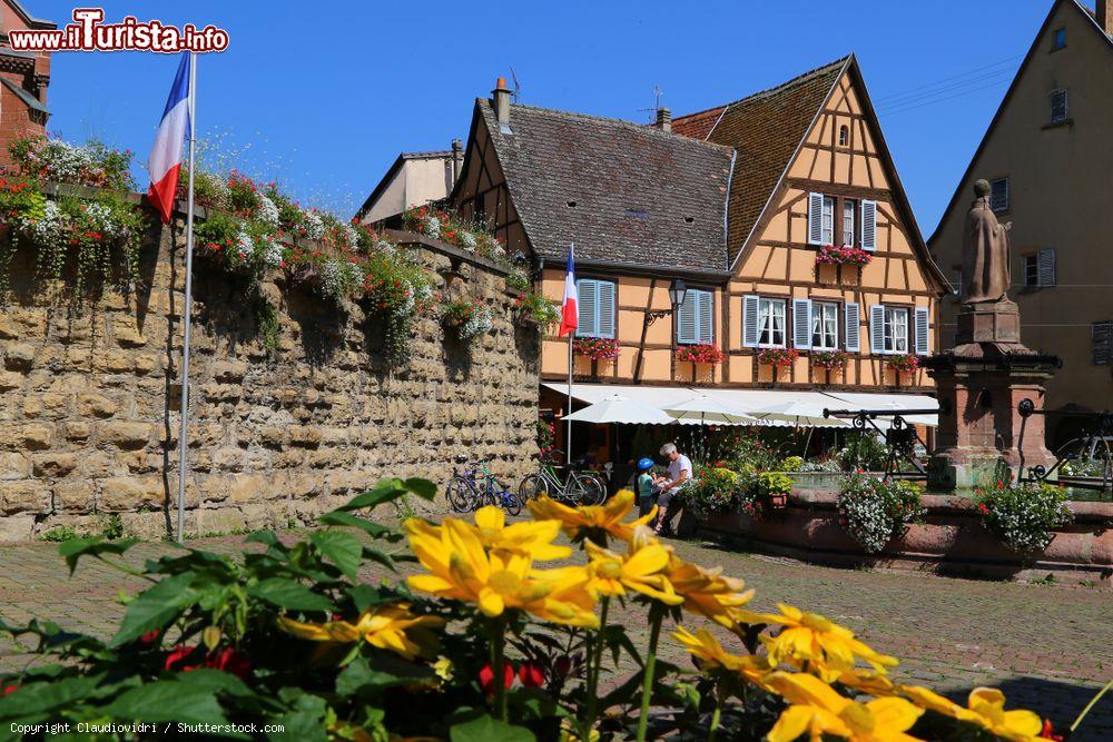 Immagine La piazza principale del borgo alsaziano di Eguisheim, Francia. Sullo sfondo, un antico palazzo a graticcio - © Claudiovidri / Shutterstock.com