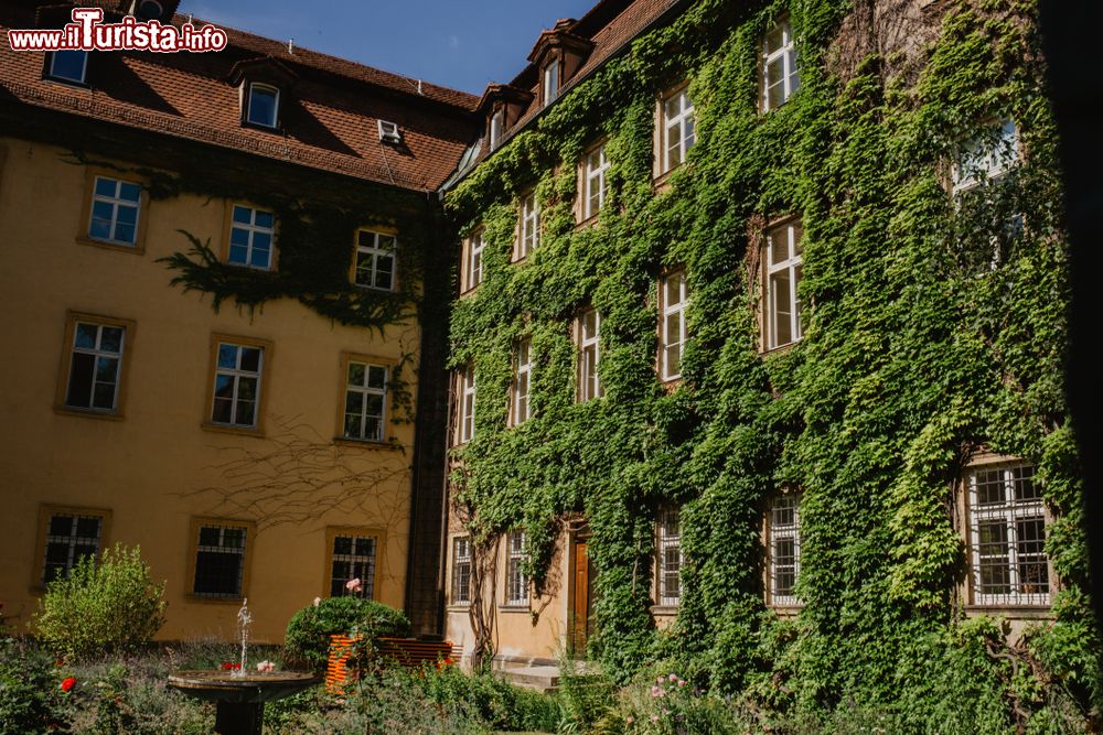 Immagine La pittoresca facciata di un edificio ricoperta di edera nel centro di Bamberga, Germania.