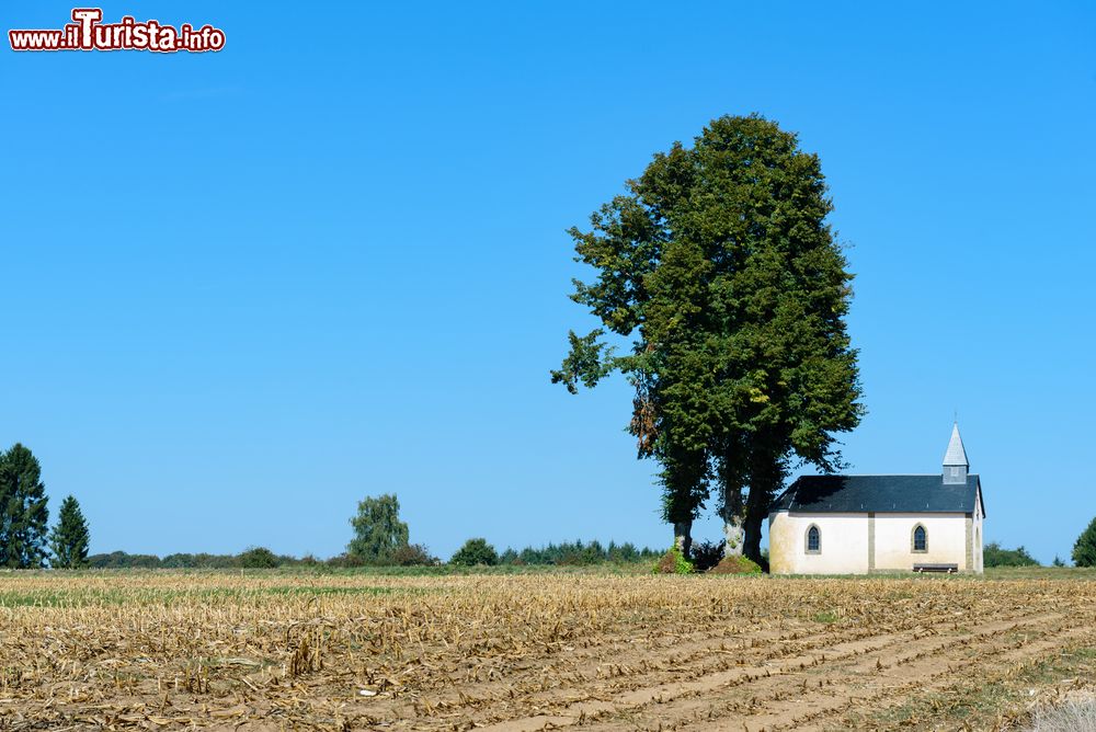 Immagine La Rentertkapell nei pressi della città di Arlon, Vallonia, Belgio.