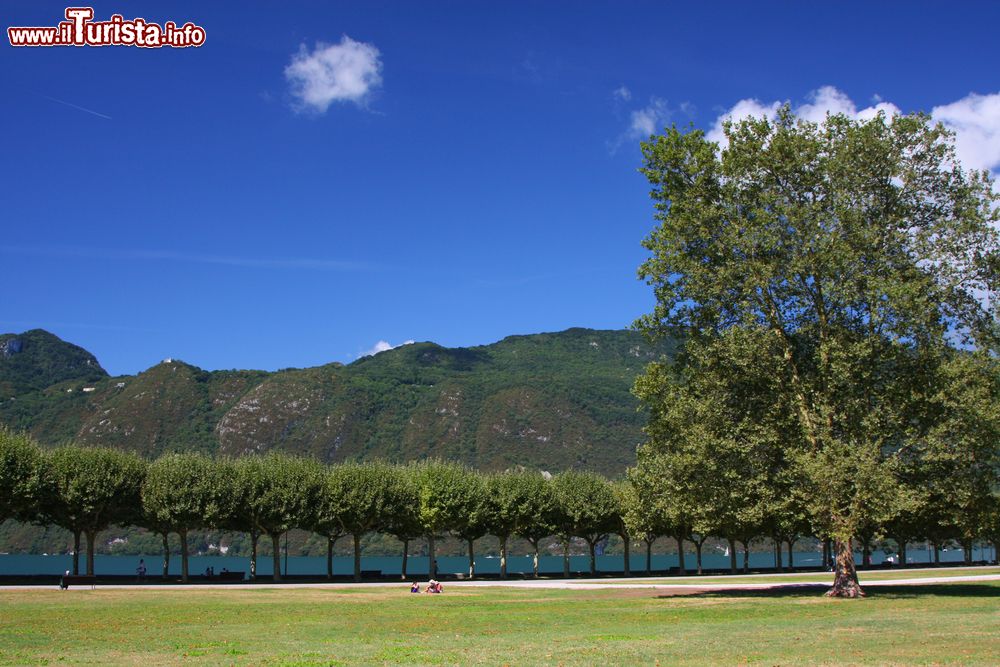 Immagine La riva del lago di Bourget a Aix-les-Bains, Francia. Siamo nel cuore verde della Savoia dove le montagne si rispecchiano nelle acque dello specchio naturale più esteso del paese, il lago di Bourget. Di origine glaciale, ha una superficie di 44 chilometri quadrati.