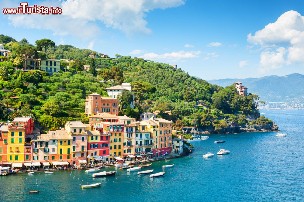 Immagine La riviera di Levante in Liguria: le case colorate di Portofino, provincia di Genova.
