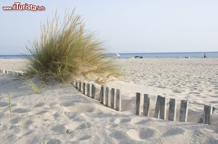 Immagine La sabbia di Zahara de los Atunes, Spagna. E' finissima e dorata, proprio come quella delle dune del deserto, la sabbia della spiaggia di Zahara de los Atunes, una delle principali attrattive della Costa di Cadice - © tonisalado / Shutterstock.com