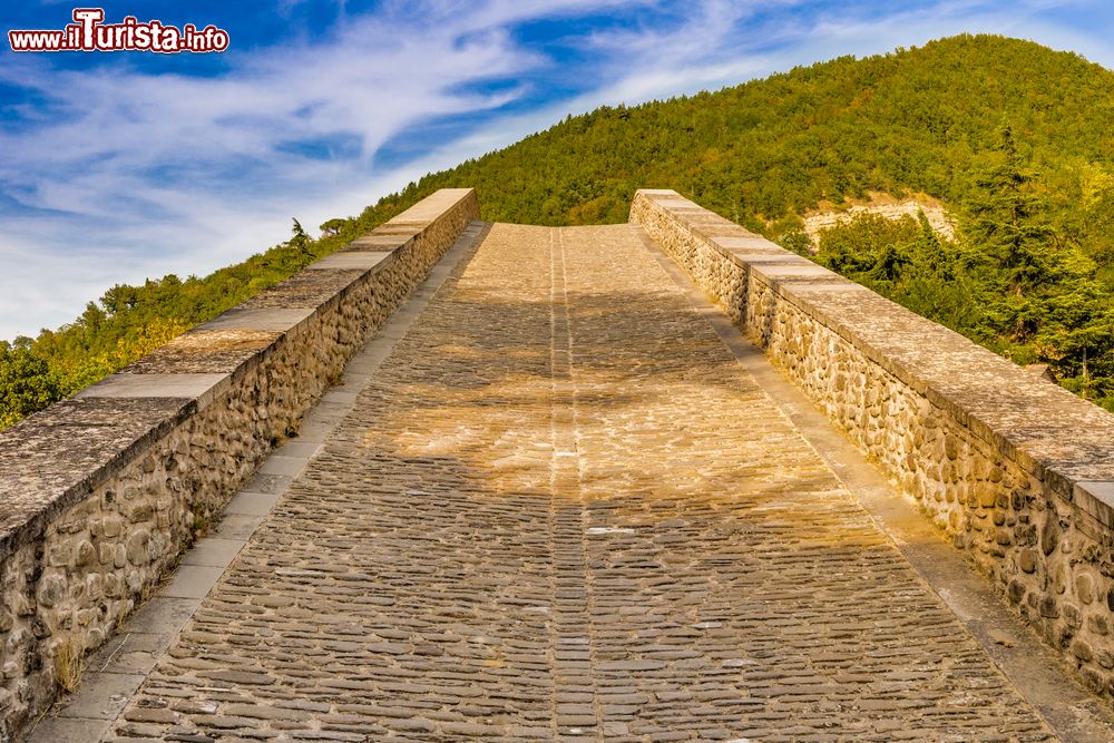 Immagine La schiena d'asino del Ponte Alidosi a Castel del Rio