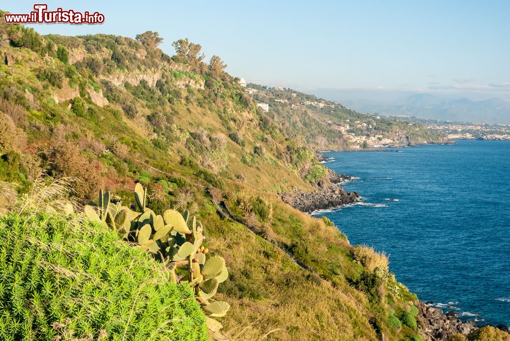 Immagine La scogliera chiamata Timpa nei pressi di Acireale, costa orientale della Sicilia. Quest'area vicino a Acireale si presenta come la sovrapposizione di strati eruttivi di epoche differenti.