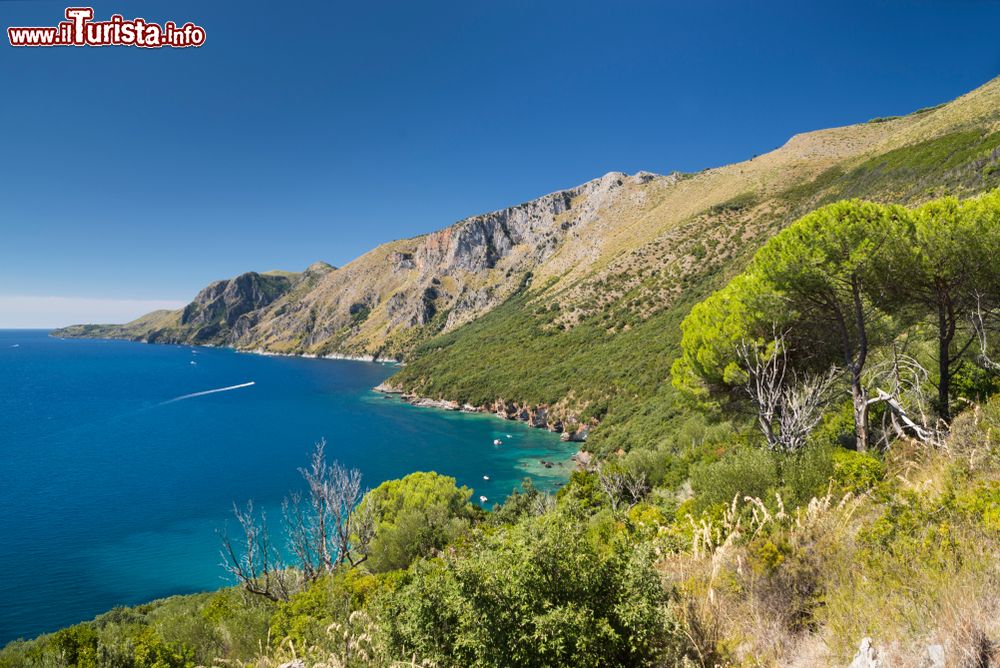 Immagine La selvaggia costa di Masseta fra Scario e Marina Camerota nel sud del Cilento, Campania.