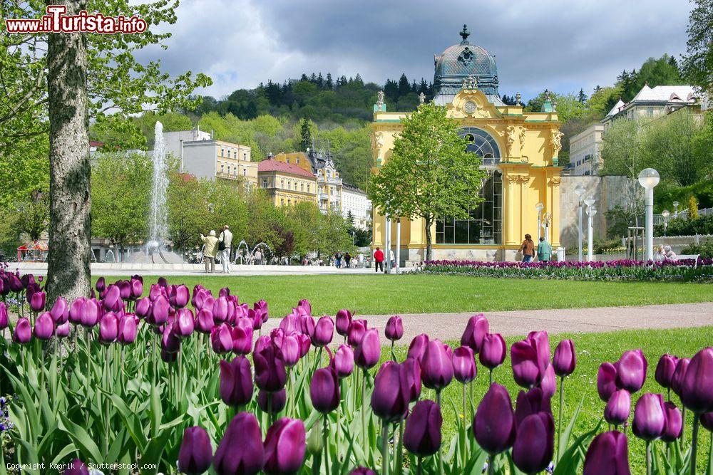 Immagine La Singing Water Fountain di Marianske Lazne, Repubblica Ceca. Si tratta di una piscina circolare di 18 metri di diametro con una scultura in pietra di 12 pezzi con fiori stilizzati e un centro in acciaio lucido - © kaprik / Shutterstock.com