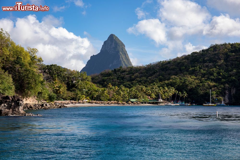 Immagine La spiaggia di Anse Chastanet a Saint Lucia, Caraibi.