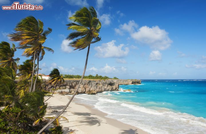 Immagine Le rocce e il mare criistallino di Bottom Bay, una delle spiagge bianche dell'isola di Barbados  - © Filip Fuxa / shutterstock.com