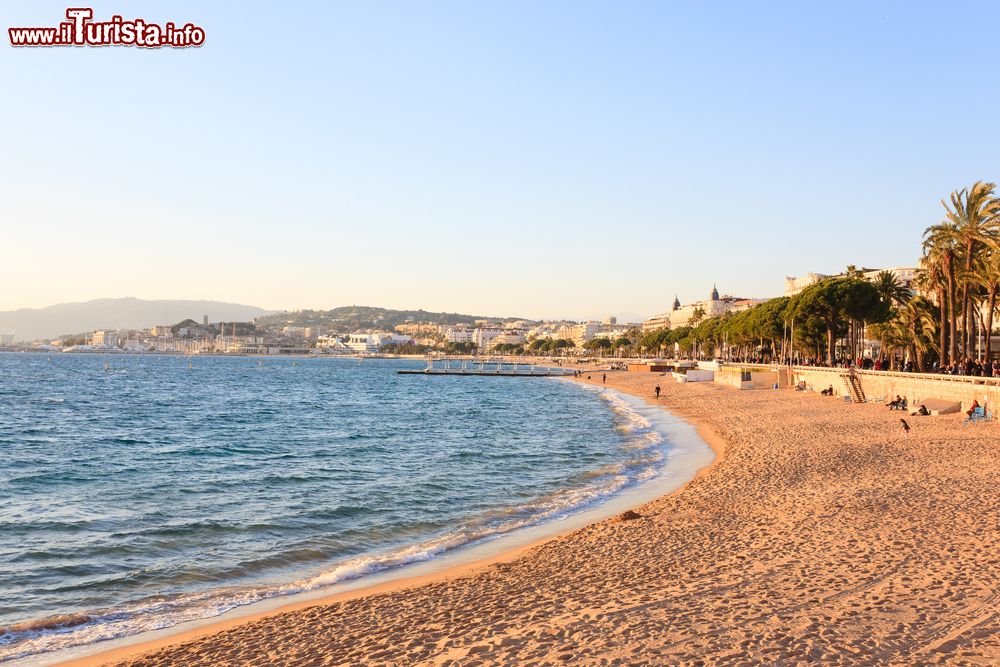 Immagine La spiaggia di Cannes fotografata al calar del sole, Francia. A costeggiare il litorale della celebre cittadina francese è la Croisette, l'antica strada un tempo chiamata Chemin de la petite Croix.