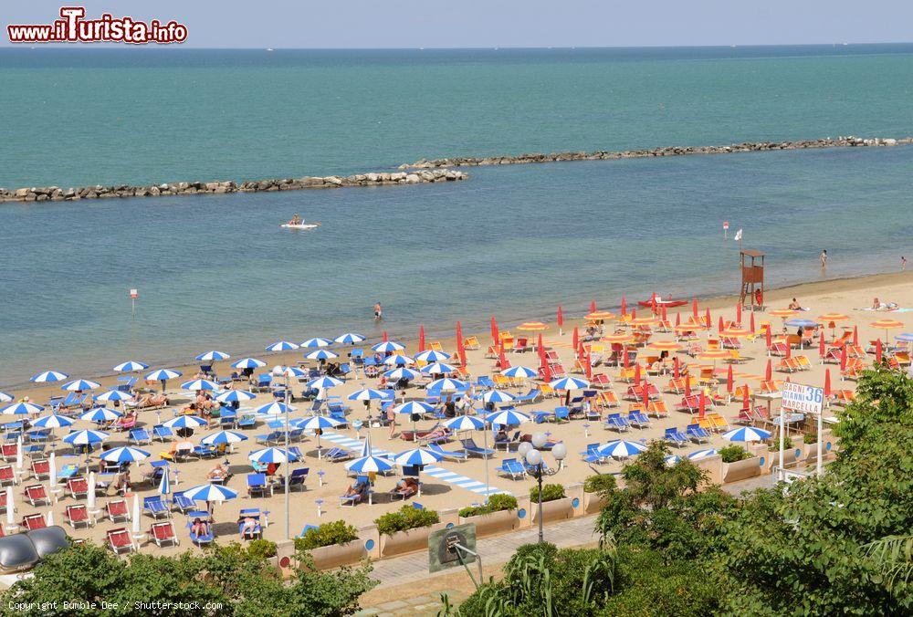 Immagine La spiaggia di Cattolica, una delle ultime della Riviera Romagnola al confine con le Marche - © Bumble Dee / Shutterstock.com
