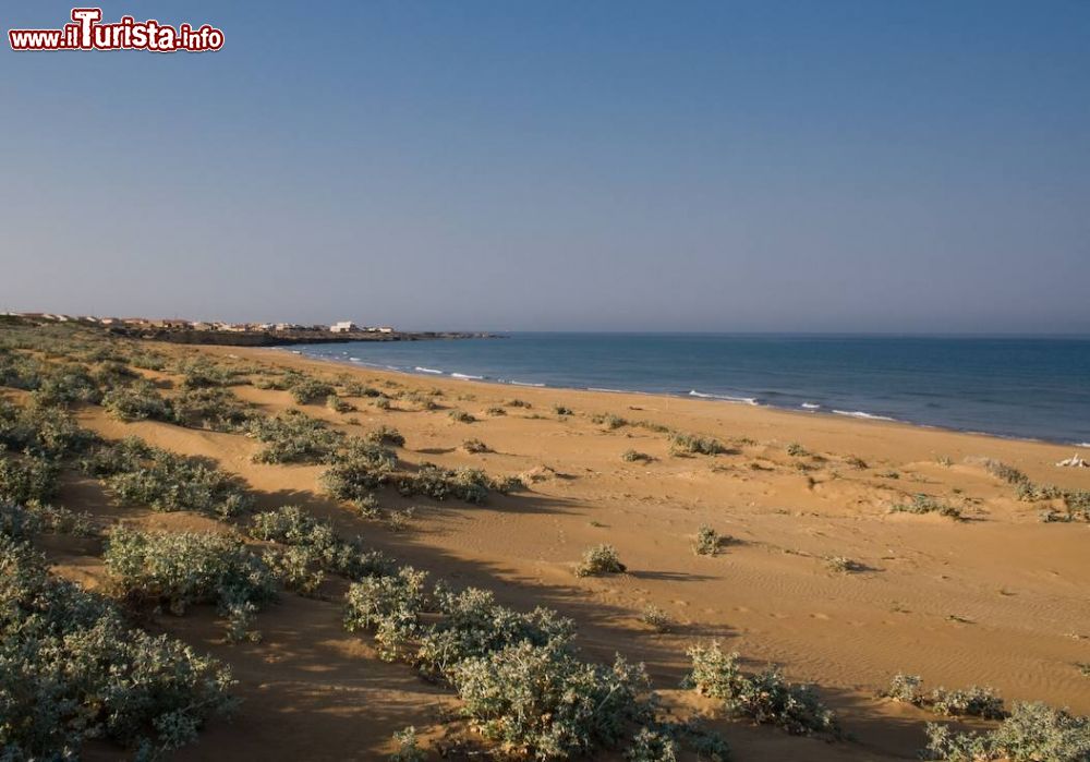 Immagine La Spiaggia di Cava Randello vicino a Punta Braccetto in Sicilia - © Carlo Columba, CC BY 2.0, Wikipedia